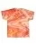 16913.webp