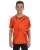 16953.webp