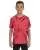 16960.webp