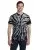 16995.webp