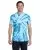 16999.webp