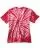 1700.webp
