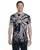 17004.webp