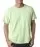 17025.webp