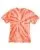 1704.webp