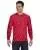 17074.webp