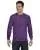 17075.webp