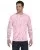 17076.webp