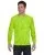 17077.webp