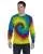 17079.webp