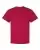 17081_f_fl.webp