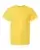 17083_f_fl.webp