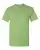 17099_f_fl.webp
