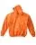 17101.webp