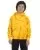 17104.webp