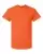 17108_f_fl.webp