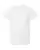 17111_f_fl.webp