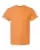 17125_f_fl.webp