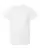 17130_f_fl.webp