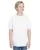171443.webp