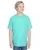 171473.webp