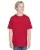 171488.webp