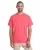 171508.webp
