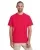 171564.webp