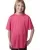 172323.webp