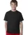 172329.webp