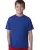 172344.webp