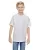 172409.webp