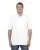 174220.webp
