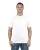 174312.webp