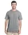 174336.webp