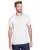 174402.webp