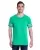 174546.webp