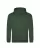 174641.webp