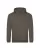 174731.webp
