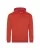 174787.webp