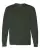 17504_f_fl.webp