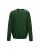 175053.webp