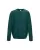 175077.webp