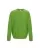 175083.webp