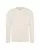 175199.webp