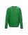 175245.webp