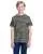 176192.webp