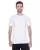 176517.webp