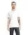 177105.webp