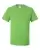 17886_f_fl.webp
